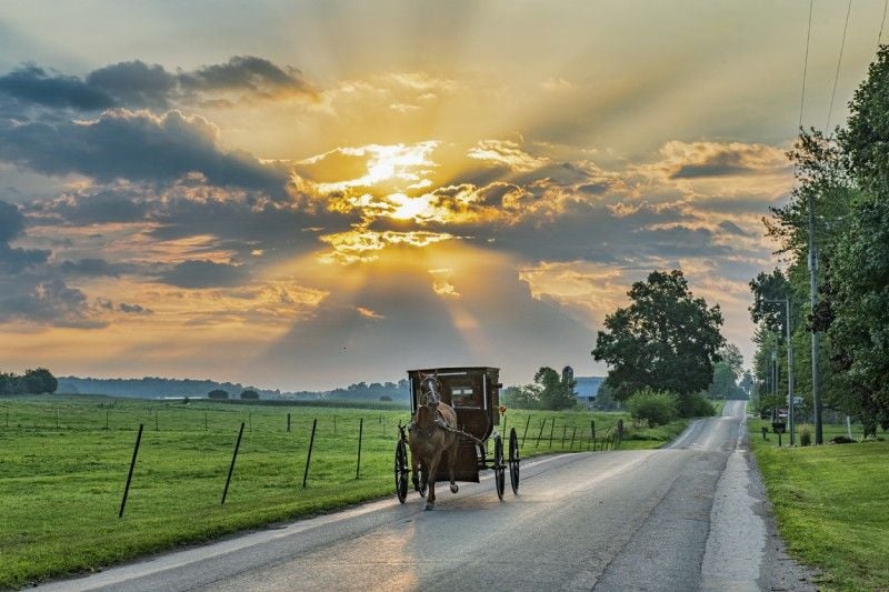 Amish Wood Cook Stoves - A Canadian Tradition Amish Wood Cook Stoves - A Canadian Tradition